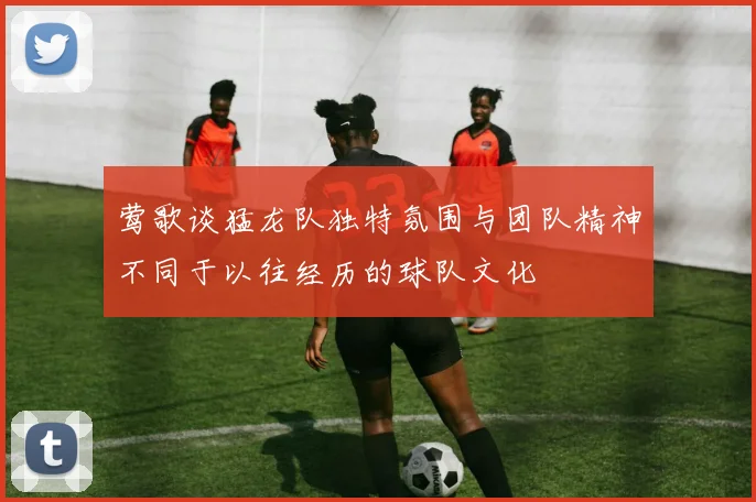 莺歌谈猛龙队独特氛围与团队精神不同于以往经历的球队文化